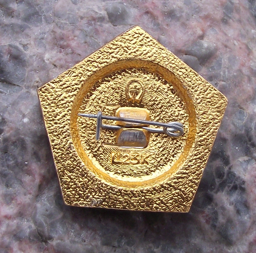 1980 Moscow Summer Olympic XXII 22nd Games Swimming Diving Event Pin Badge