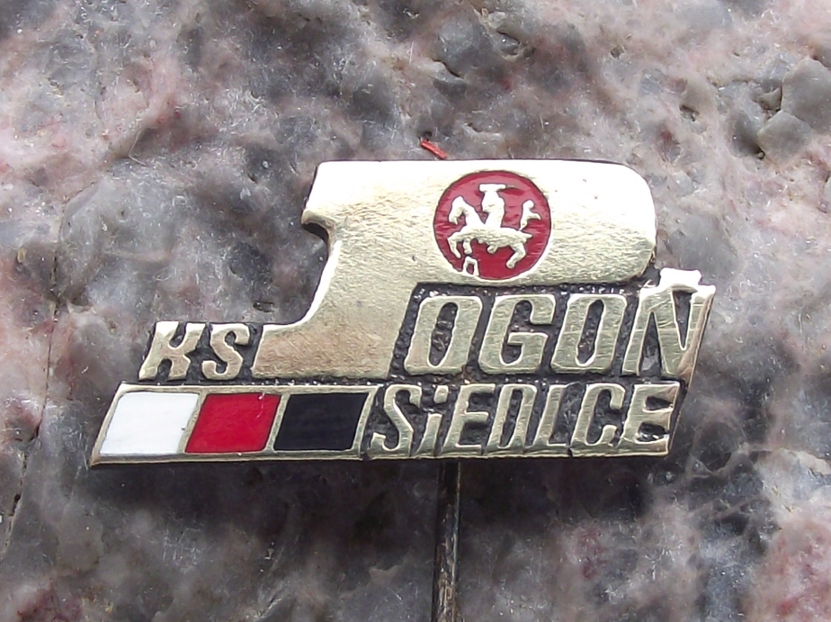 Vintage KS Pogoń Siedlce Poland Sports Football Club Pin Badge