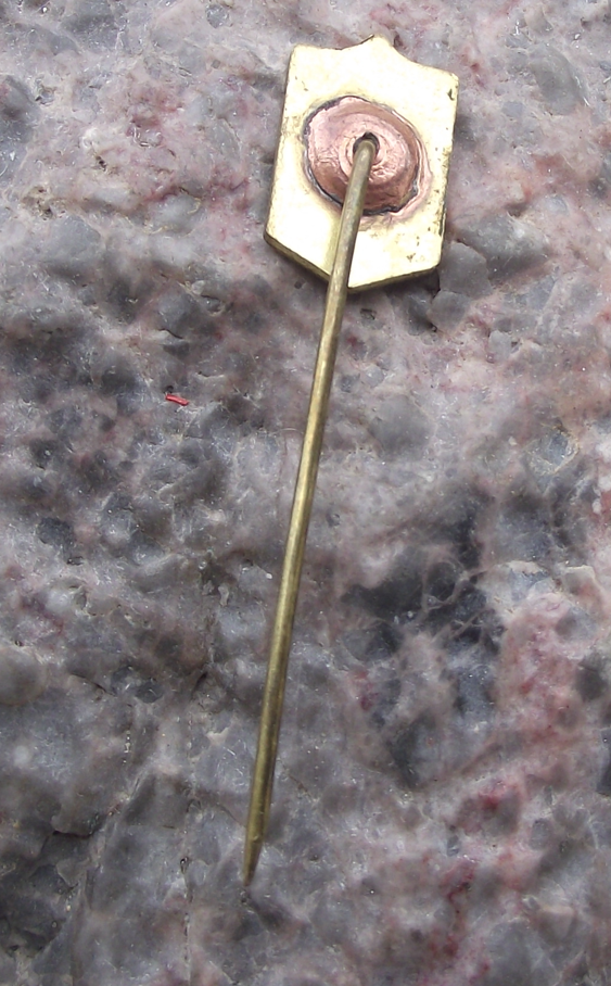 Vintage BKS Stal Bielsko-Biała Poland Sports Football Club Pin Badge