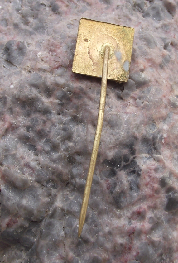 Vintage Banska Bystrice Czechoslovakia CSAD Bus Coach Transport Firm Pin Badge