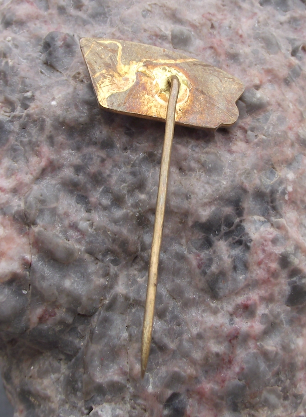 Vintage Rychnov nad Kneznou Czech CSAD Bus Coach Transport Pin Badge