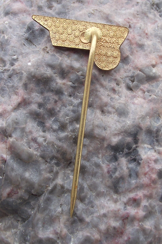 Vintage Prague Zizkov District CSAD Bus Coach Transport Firm Company Pin Badge