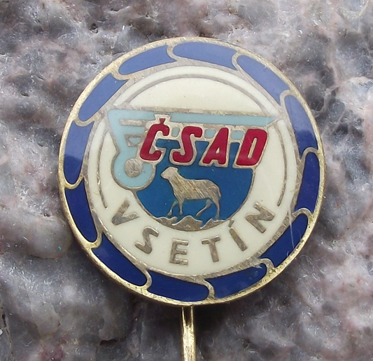 Vintage Vsetin CSAD Bus Coach Transport Firm City Sheep Motif Pin Badge
