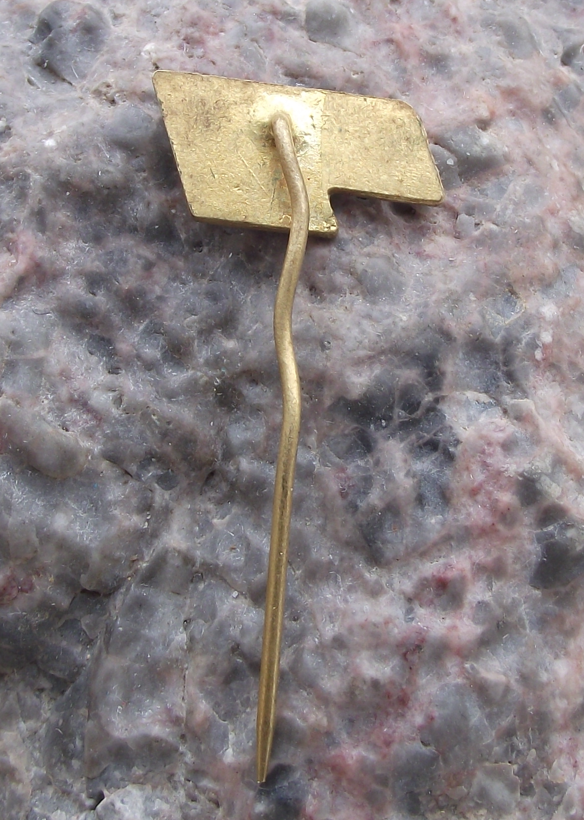 Vintage City of Teplice np CSAD Bus Coach Mass Transport Firm Pin Badge