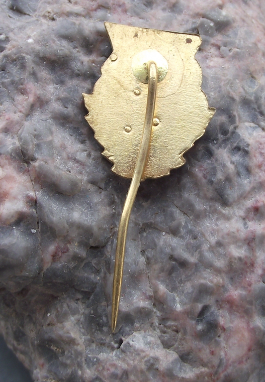 1974 City of Benesov CSAD Bus Coach Transport Firm 25th Anniversary Pin Badge