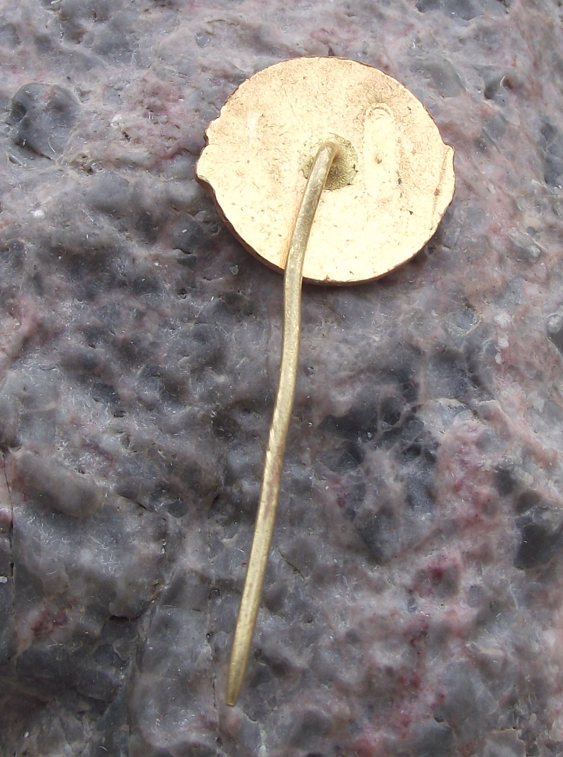 Vintage Czechoslovakia City of Brno CSAD State Bus Coach Company Pin Badge