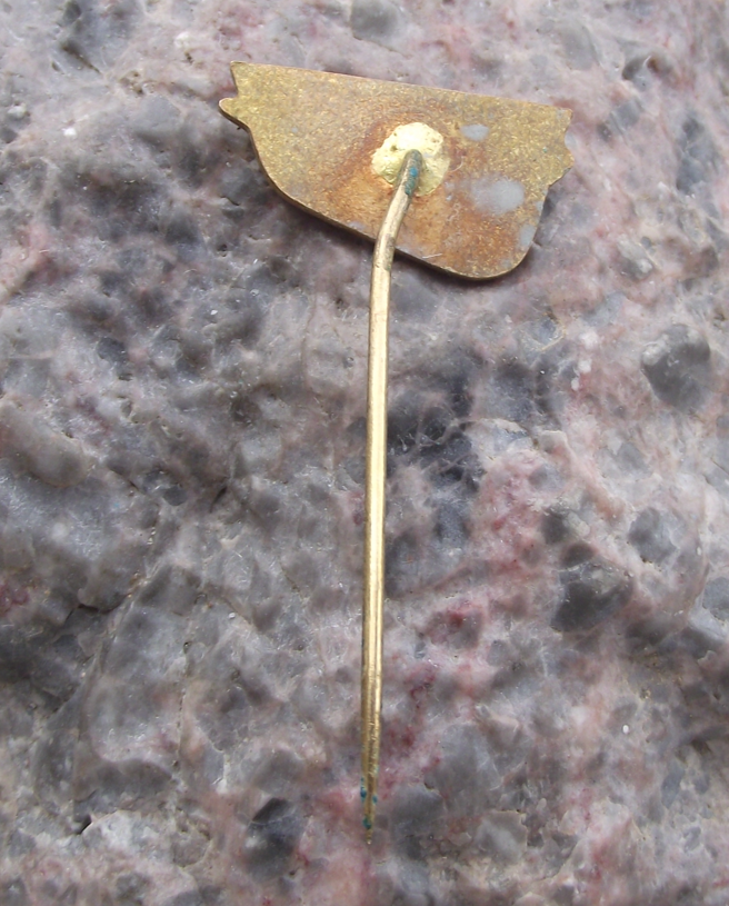 Vintage CSAD Boskovice Bus Coach Company Transport Pin Badge