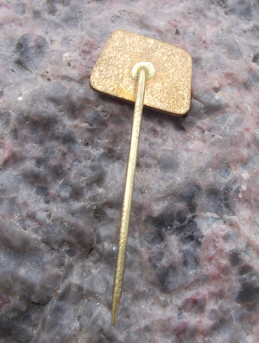 Vintage CSAD Chrudim Bus Coach Company Transport Pin Badge