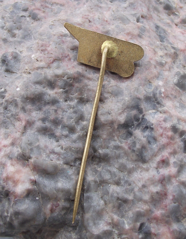 Vintage CSAD Strakonice Bus Coach Company Public Transport Pin Badge