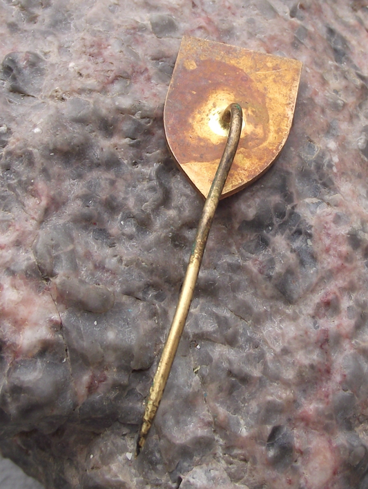 Vintage CSAD Holice Czech Bus Company Excellent Teacher Award Pin Badge