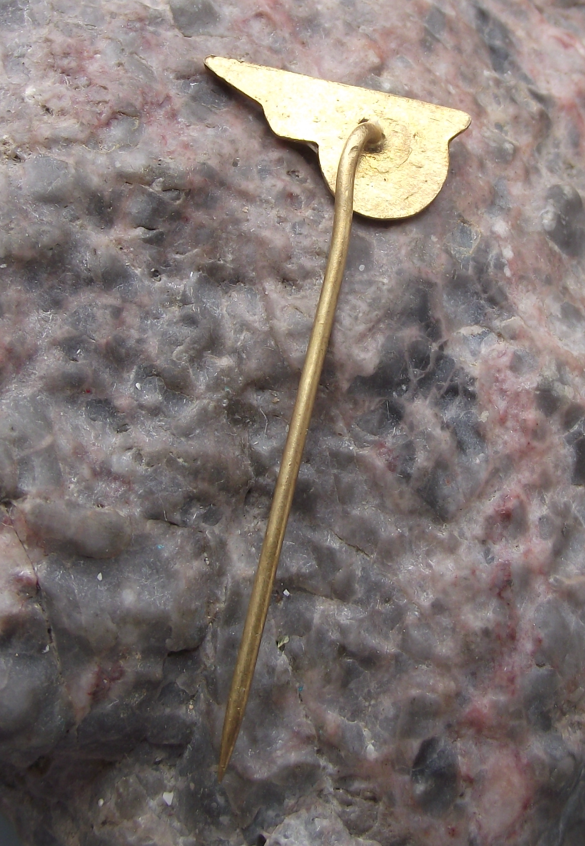 Vintage CSAD Bruntal State Bus Company Czechoslovakia Pin Badge