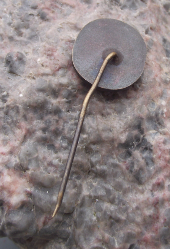 Vintage CSAD Usti nad Labem Castle on Cliff Bus Company Pin Badge