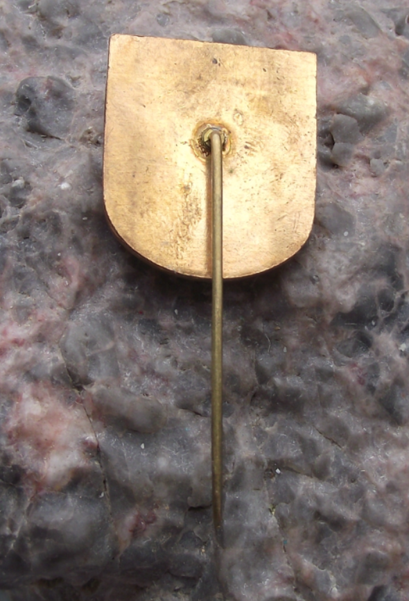 Vintage CSAD Usti nad Labem Freight Cargo Truck TIR Lorry Pin Badge