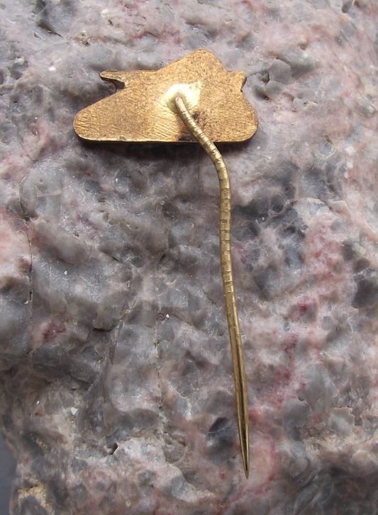 Vintage CSAD Lovosice Czech Transport Bus Company Pin Badge