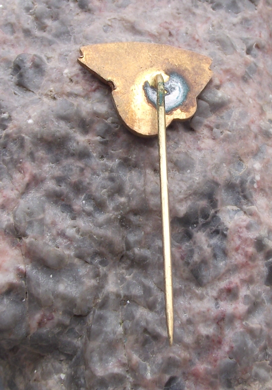 Vintage CSAD Mohelnice Czech Transport Bus Company Pin Badge