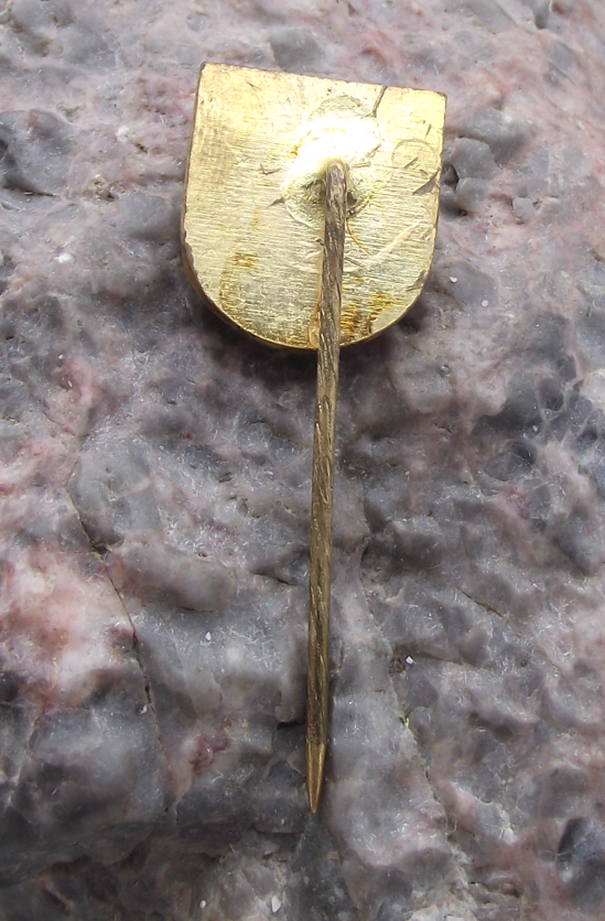 Vintage CSAD Usti nad Labem n.p. Czech Transport Company Pin Badge