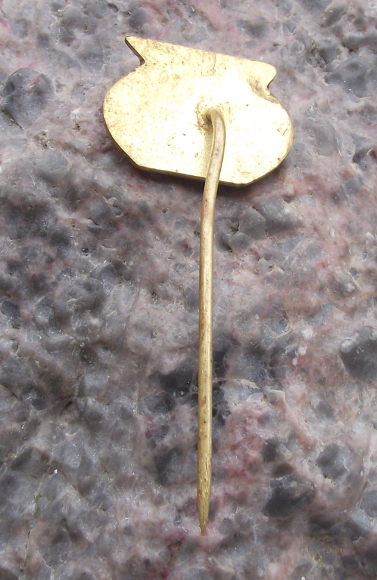 Vintage CSAD Banska Bystrice World Icon Bus Company Pin Badge