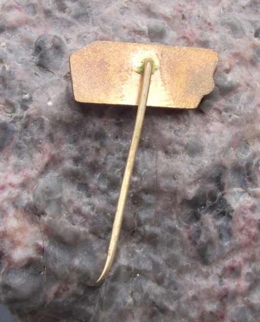 1984 CSAD Usti nad Labem Bus Company 35th Anniversary Route 401 Pin Badge