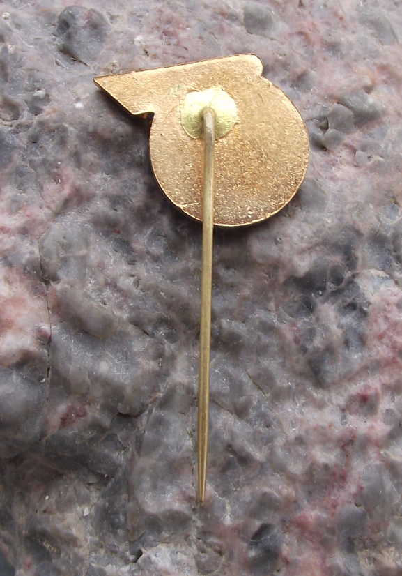 Vintage CSAD Roznava Czech Bus Company Mass Transport Pin Badge