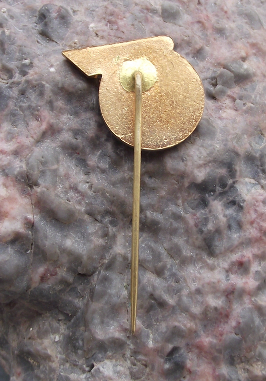 Vintage CSAD Roznava Czech Bus Company Mass Transport Pin Badge