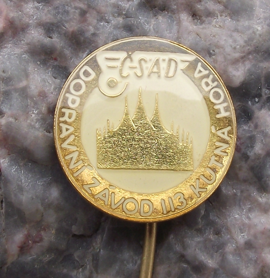 Vintage CSAD Kutna Hora Czech Bus Firm Route 113 Pin Badge