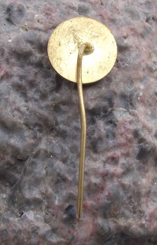 Vintage CSAD Kutna Hora Czech Bus Firm Route 113 Pin Badge