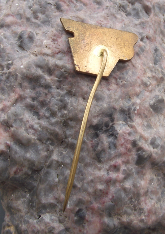 Vintage CSAD ZTZ Servicing and Spares Garage Brno Bus Company Pin Badge