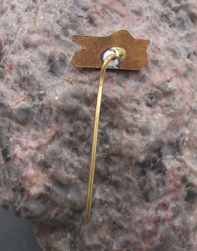 Vintage CSAD Prachatice Czech Transport Bus Company Logo Pin Badge