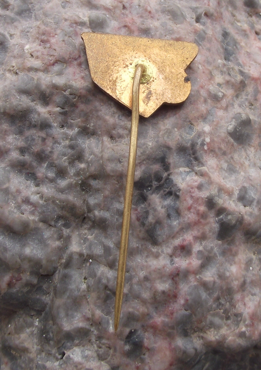 Vintage CSAD Slany Czech Bus Company Pin Badge