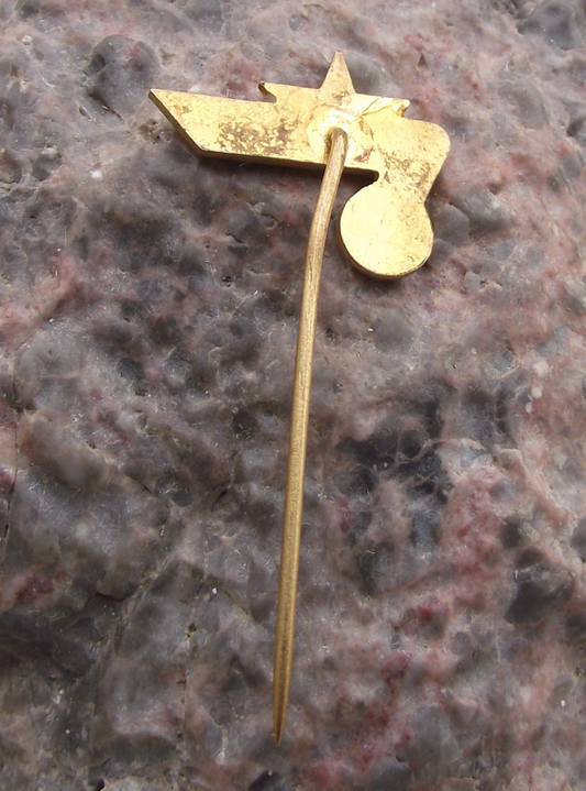 Vintage CSAD Breclav Czech Transport Bus Company Star Logo Pin Badge