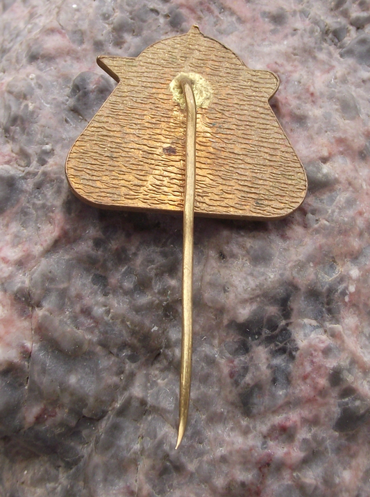 Rare CSAD Czech State Bus Company 500000km Safety Record Award Pin Badge