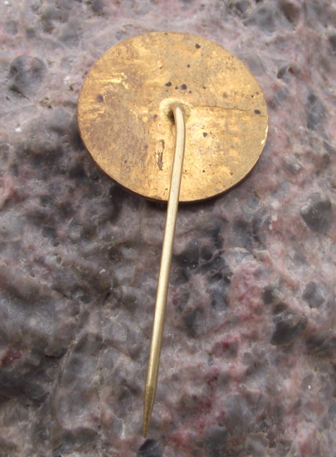 Vintage CSAD Young Citizen Plzen Czechoslovakia Youth Pin Badge