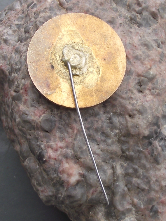 Vintage CSAD Brno N.P. Czech Bus Company Workers Service Award Pin Badge