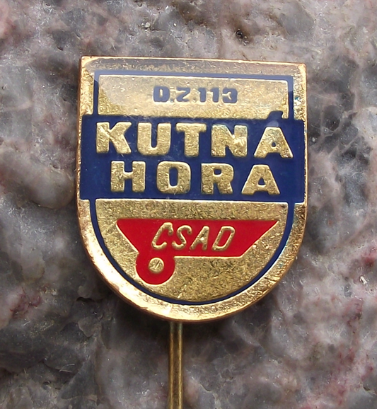 Vintage CSAD Kutna Hora Czech Bus Firm Route DZ 113 Pin Badge