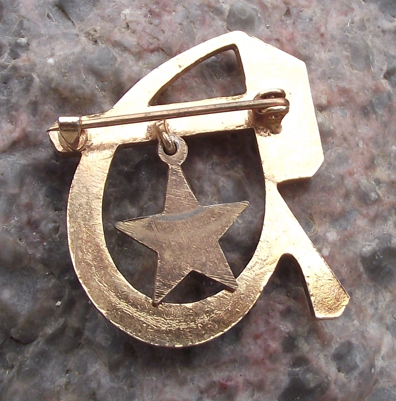 Vintage Large Communist Party Red Star Russian Hammer Sickle Pin Badge