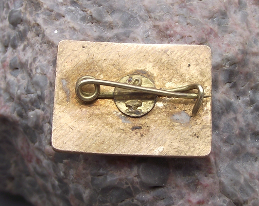 Vintage Romania Youth Pioneers FORWARD Microscope Science Chemistry Pin Badge