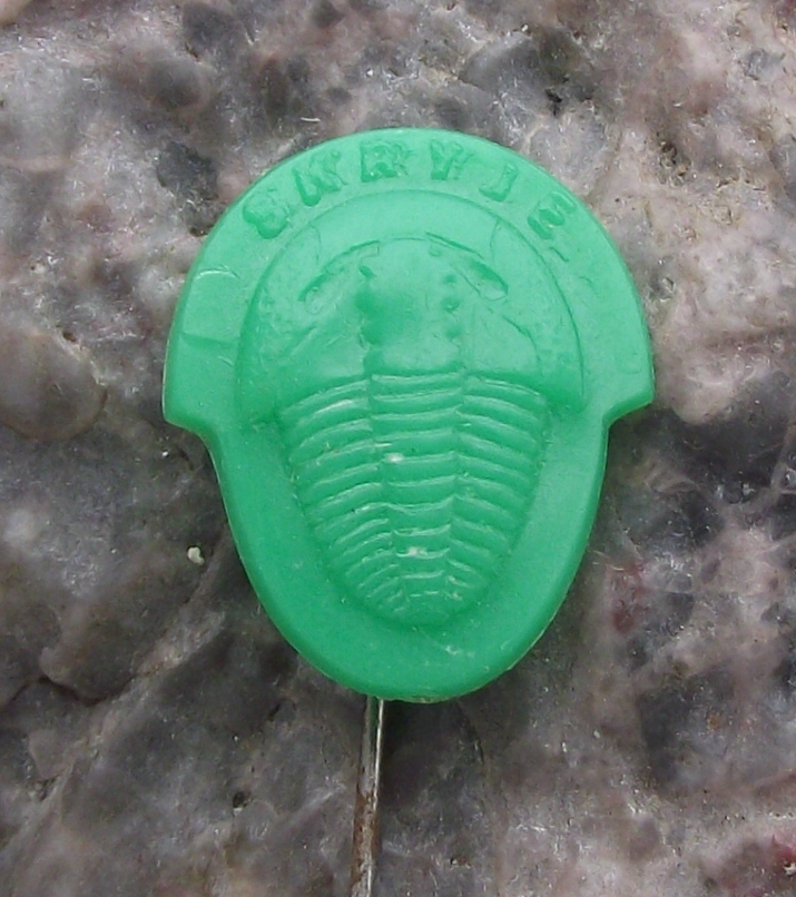 Vintage Skrye Czechoslovakia Trilobite Fossil Pin Badge
