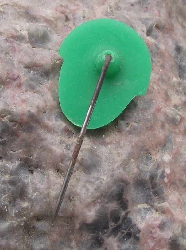 Vintage Skrye Czechoslovakia Trilobite Fossil Pin Badge