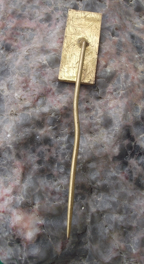 Vintage Trutnov Dragon Czechoslovakia Mountain Skiing Town Crest Pin Badge