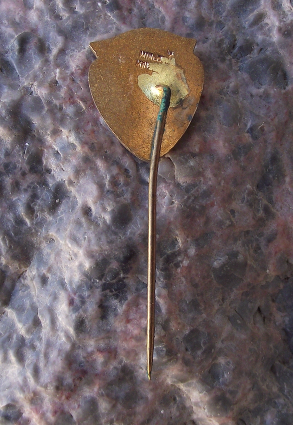Vintage Sněžka Mountain Peak 1603m Krkonose Blue Flower Shield Pin Badge
