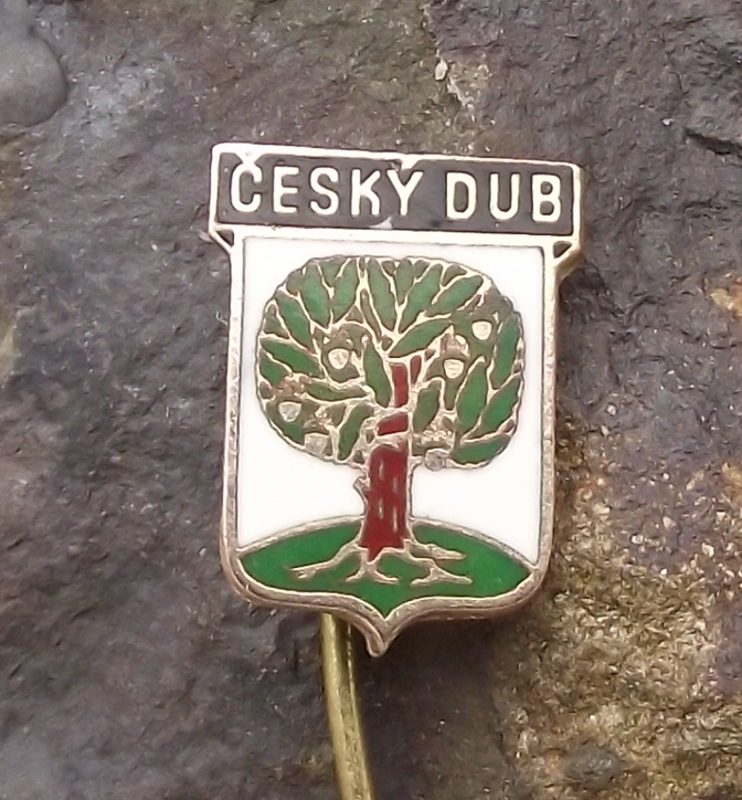 Vintage Český Dub Czechoslovakia Coat of Arms Tourist Pin Badge