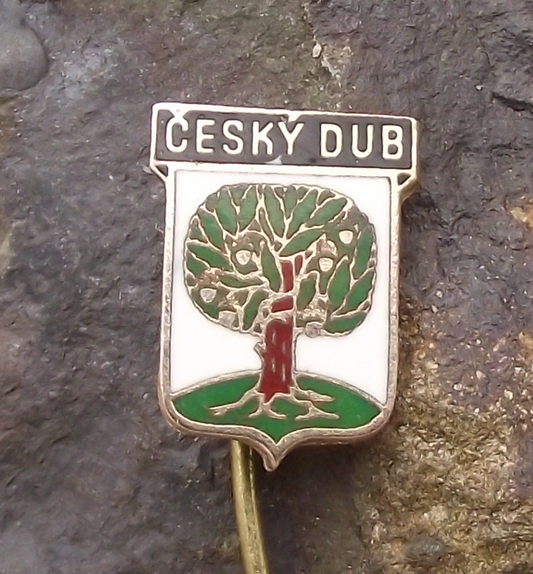 Vintage Český Dub Czechoslovakia Coat of Arms Tourist Pin Badge