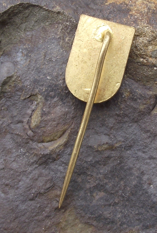 Vintage Děčín Czech Heraldic Crest Coat of Arms Lion Pin Badge
