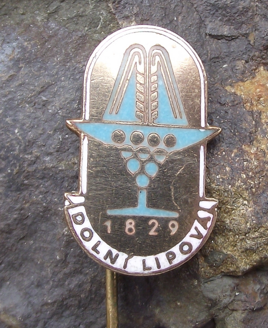 Vintage Lázně Dolní Lipová 1829 Healing Springs Spa Resort Fountain Pin Badge