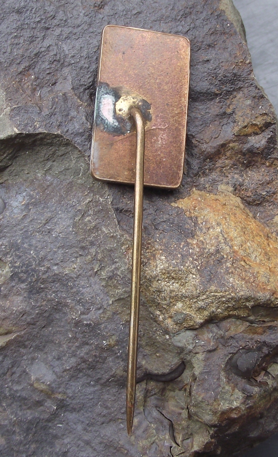 Vintage Devín Castle Bratislava Tourist Souvenir Pin Badge