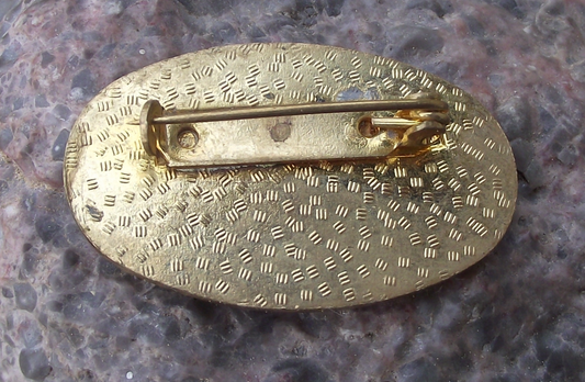 Vintage Harrachov Krkonoše National Park Mountains Meeting Pin Badge
