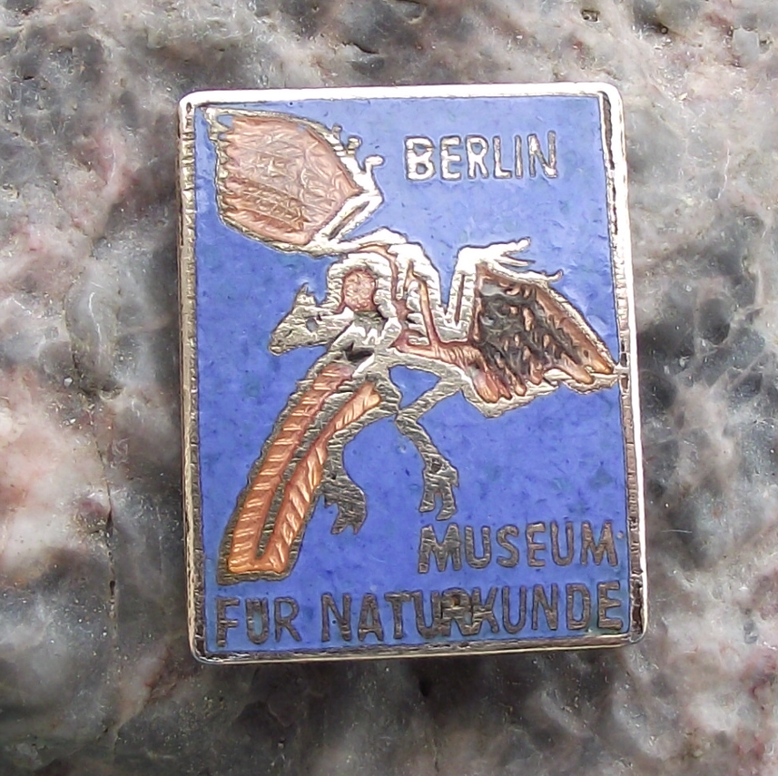 Vintage Berlin GDR Natural History Museum Archaeopteryx Dinosaur Pin Badge