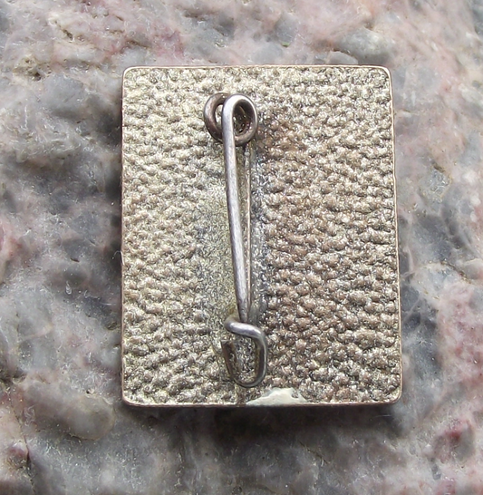 Vintage Berlin GDR Natural History Museum Archaeopteryx Dinosaur Pin Badge