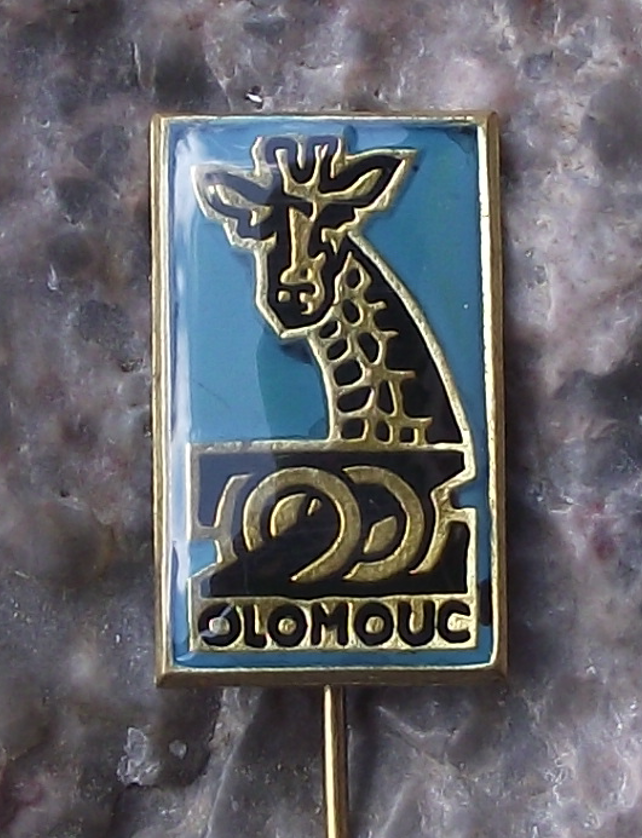 Vintage Giraffe Safari Park Herd Zoo Olomouc Pin Badge
