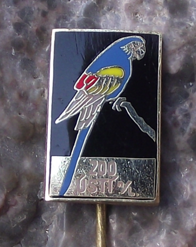 Vintage Usti nad Labem Zoo Blue Green African Macaw Parrot Bird Pin Badge